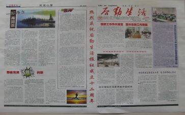 报社个人总结5篇
