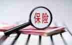 公司保险年度工作总结5篇