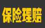 保险公司年度工作总结8篇