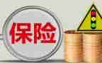 保险的年度工作总结8篇