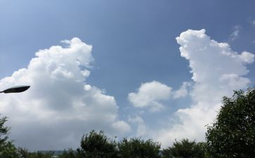 环境的变化的作文模板6篇