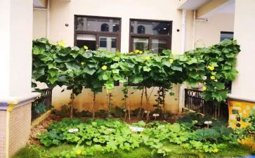 湘菜工作报告通用7篇
