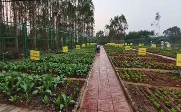 湘菜工作报告7篇
