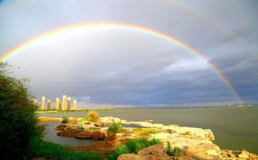 《彩虹鸽》读后感优秀8篇