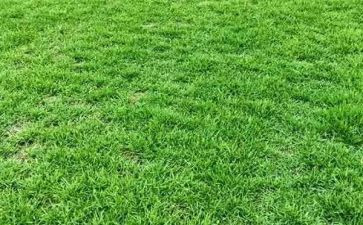 草原上的小木屋读后感精选7篇