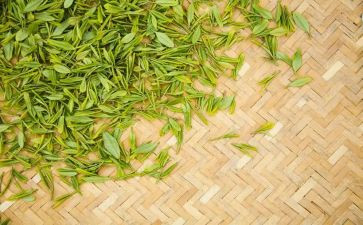 茶销售工作总结6篇