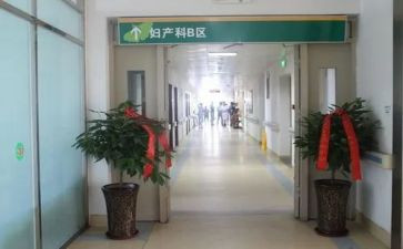 医院护士产科实习总结6篇