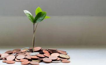 产品年度工作总结7篇