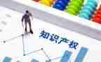 宣传知识产权活动总结8篇