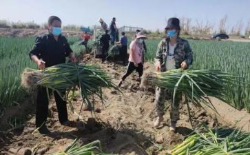 房地产销售主管年终总结6篇