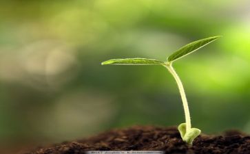 工作计划及个人成长计划5篇