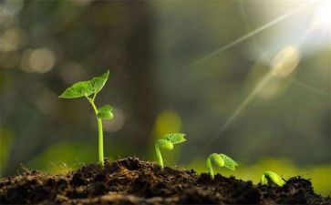 个人成长计划和工作计划最新5篇