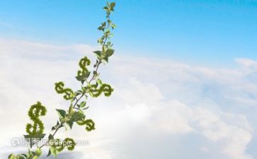 作文在中成长600字推荐7篇