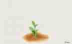 作文_____让我成长600字精选8篇