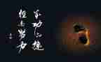 我收获了成功的作文6篇