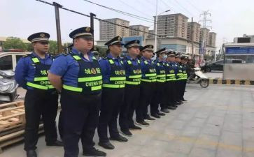 城管年度工作总结报告8篇