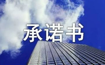 工程施工安全责任承诺书7篇