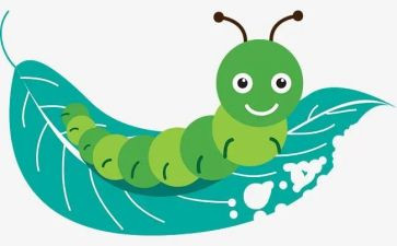 《昆虫记》的读后感模板8篇