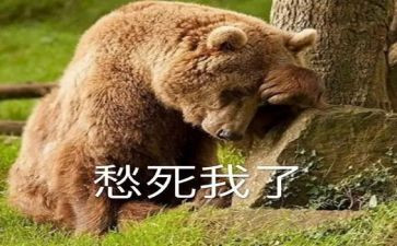 写乡愁的作文高中作文8篇