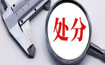 申请处分的申请书模板7篇