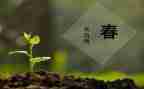 《春》课后教学反思7篇