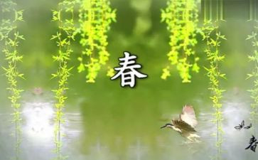 春节社区文化活动总结7篇