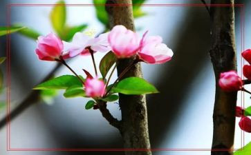 春节假期安全教案6篇
