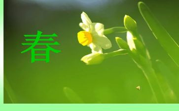 关于春节的小学作文参考5篇