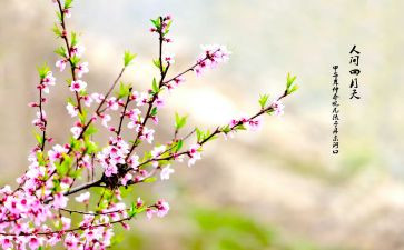 2023年春节安全总结6篇
