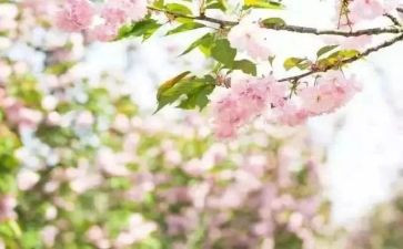 春期教师工作计划7篇
