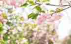 春期教师工作计划7篇
