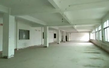 仓库管理半年度工作总结6篇