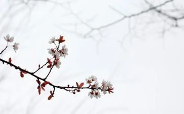 读《匆匆》心得体会300字8篇