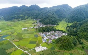 村社区综治工作总结8篇