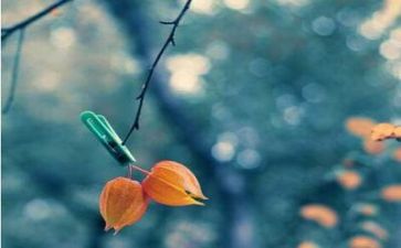 与挫折的作文优质8篇