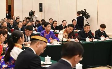 代表委工作总结推荐7篇