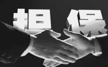 担保工作半年度工作总结8篇