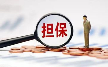 担保公司个人总结范文7篇