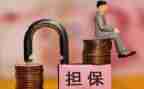 担保年度工作总结5篇