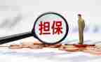 担保年度工作总结7篇