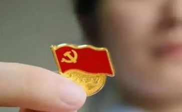 党员包工作总结5篇