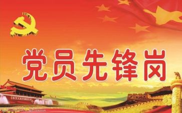 党个人年度工作总结5篇