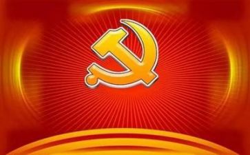 党员做工作总结6篇