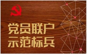 党员的工作总结范文6篇
