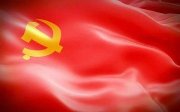校党支部年度工作总结精选8篇