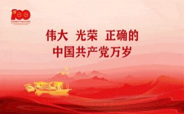 党员年终工作总结个人总结5篇