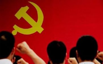 校党支部年度工作总结优质8篇
