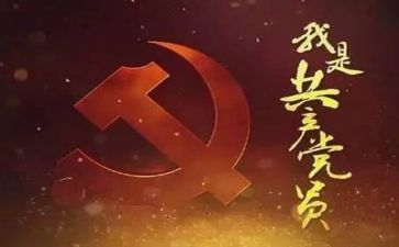 党员工作总结个人工作总结5篇