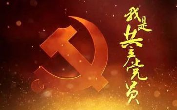 输党员年终工作总结6篇