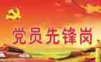 党个人年度工作总结5篇